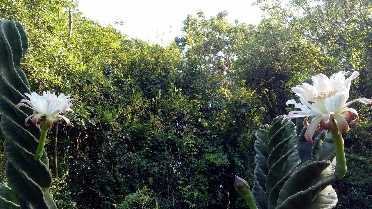 Posada Camboata Aristóbulo del Valle Екстериор снимка