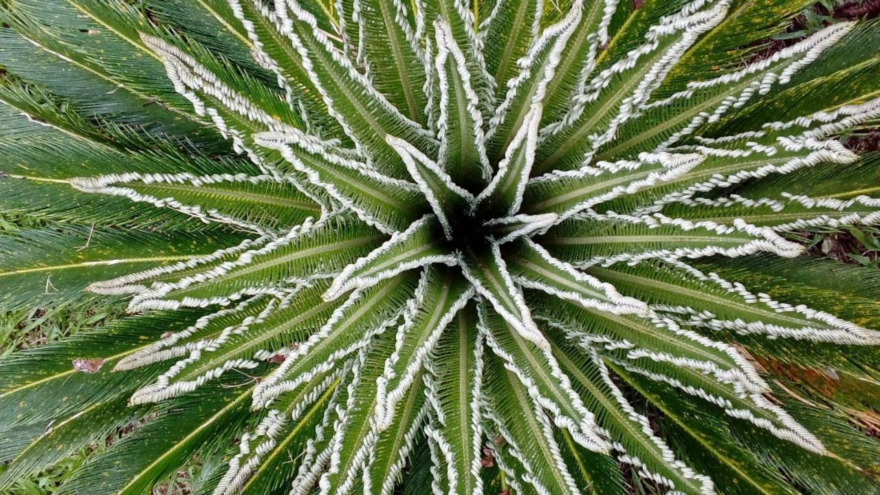 Posada Camboata Aristóbulo del Valle Екстериор снимка